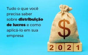 Tudo O Que Voce Precisa Saber Sobre Distribuicao De Lucros E Como Aplicalo Em Sua Empresa Blog 1 - Contador em Goiás | Contec Contabilidade